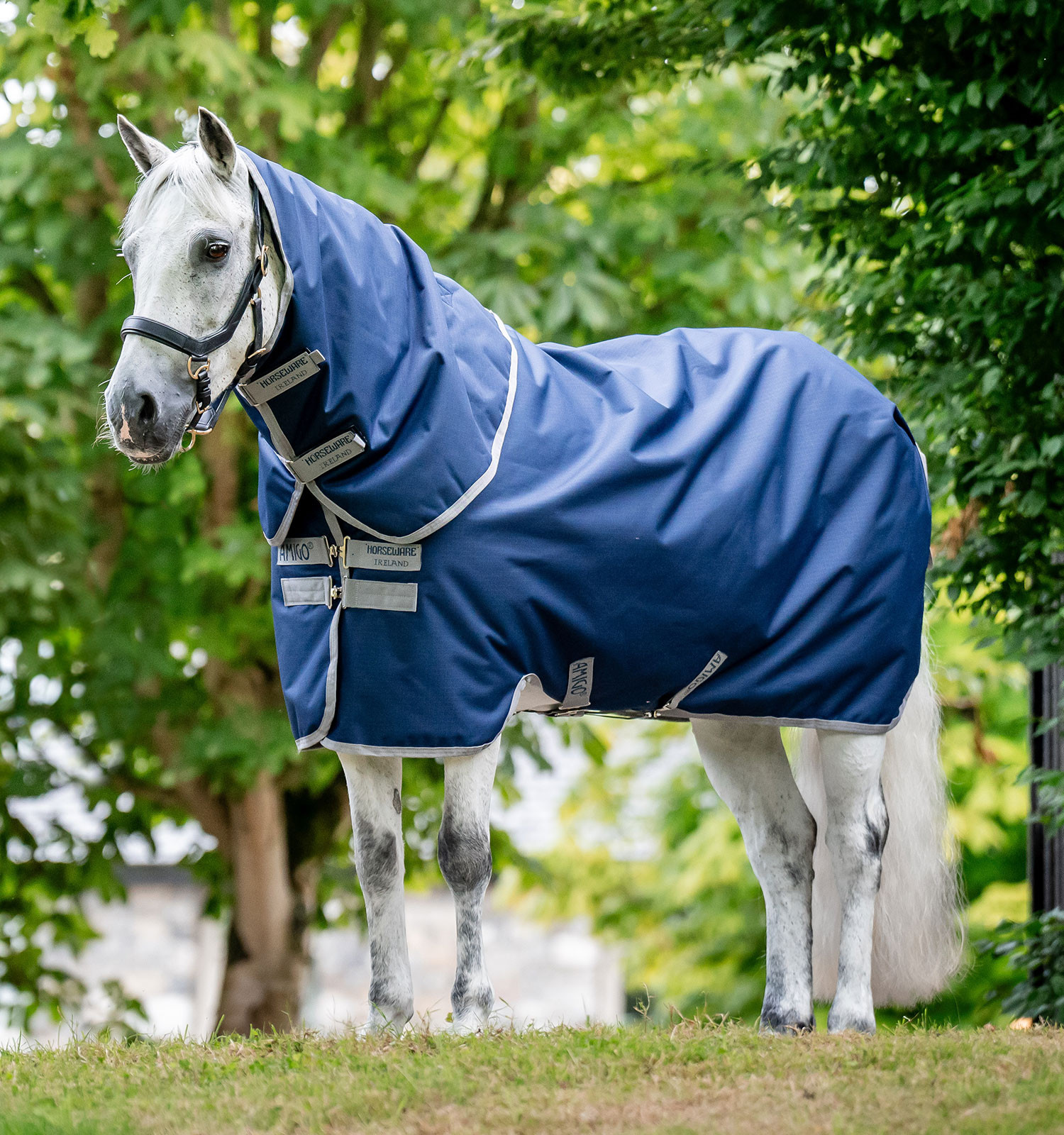 Couverture Amigo Ripstop Horseware 900D Plus Turnout 100g Marine / gris titane Bleu marine Couverture Amigo Ripstop Horseware 900D Plus Turnout 100g Marine / gris titane Bleu marine