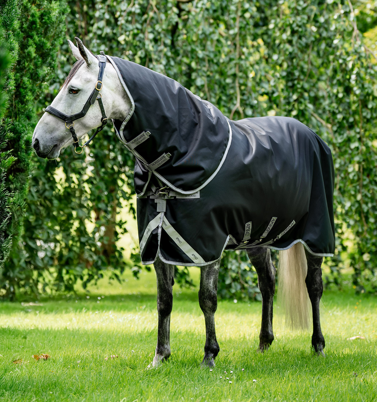 Couverture Horseware Amigo® Bravo 12 Plus 250g 1200D Noir / gris titanium / argent Couverture Horseware Amigo® Bravo 12 Plus 250g 1200D Noir / gris titanium / argent