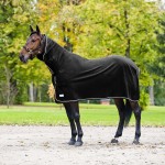 Chemise avec haute encolure Finn-Tack Pro