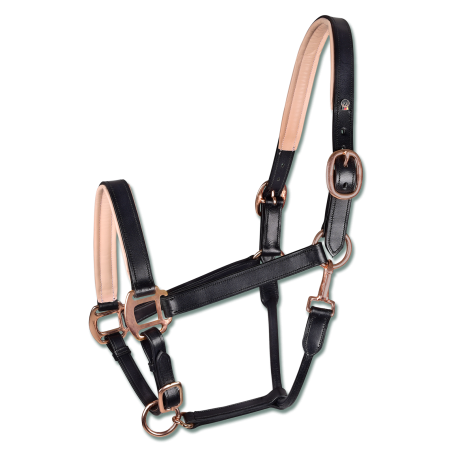 Licol cuir Rosé Waldhausen X-Line
