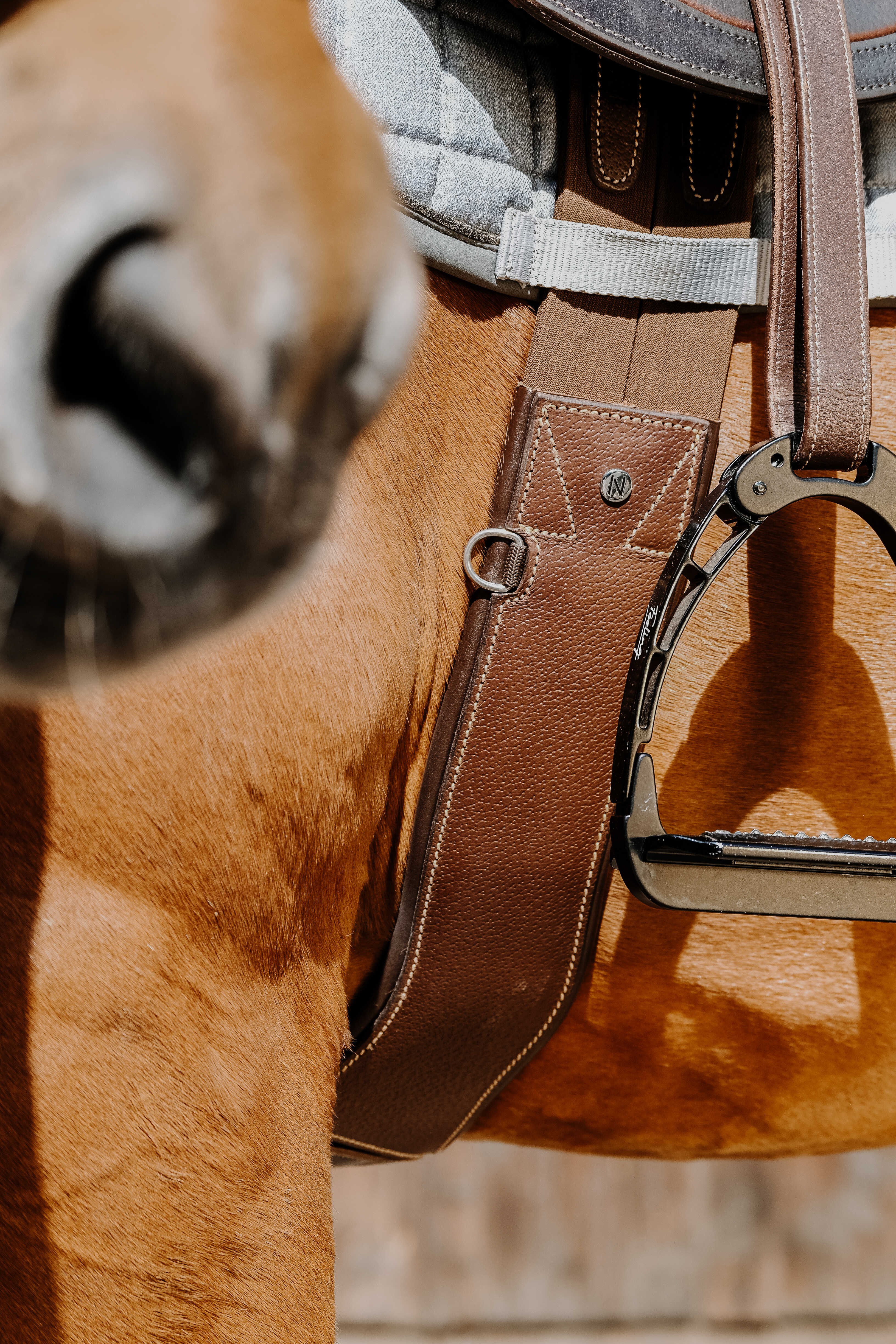 Sangle anatomique Magnet Norton Havane Marron