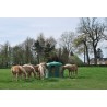 Ratelier à foin dans le pré avec chevaux Ratelier à foin dans le pré avec chevaux