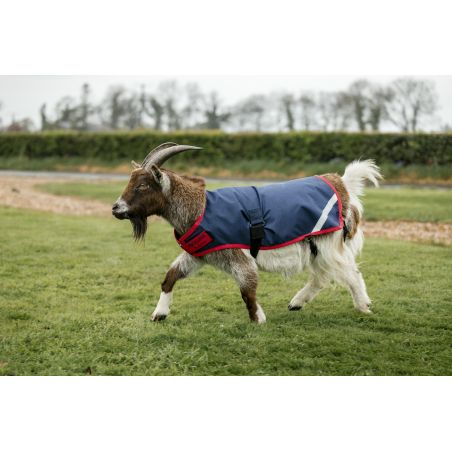 Couverture pour chèvre Horseware 0g