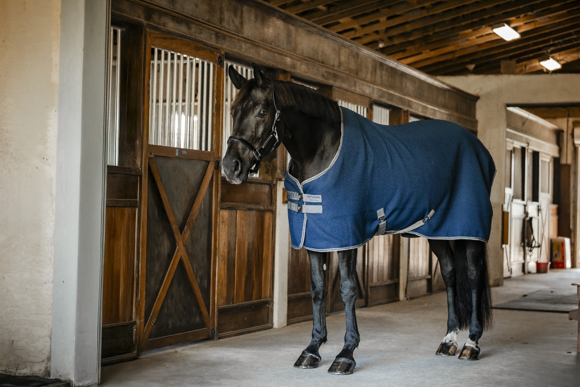 Couverture séchante Horseware Rambo Techni Waffle Cooler Marine / orage / gris argent Bleu marine