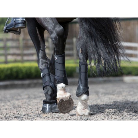 LeMieux Prosport Grafter Paire Gu/êtres de Protection