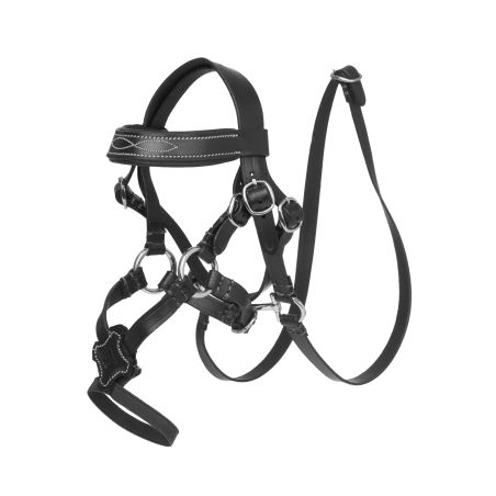 Bridon à muserolle croisée LeMieux Toy Pony
