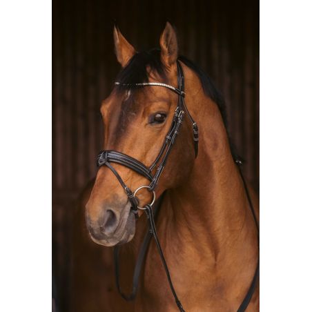 Bridon Pénélope Daily Strass SR