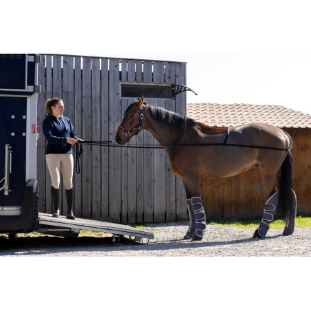 Enrênement d'embarquement Norton