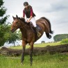 Gilet de protection Equi-Theme Air Gilet de protection Equi-Theme Air