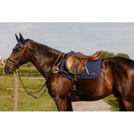 Collier de chasse Norton 5 points