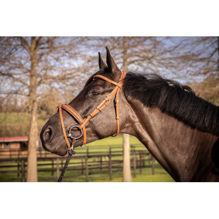 Bridon Pénélope Elégance