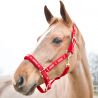 Licol Hamptons Horze rouge Licol Hamptons Horze rouge