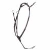 Collier de chasse Pro-Jump Stübben - Noir