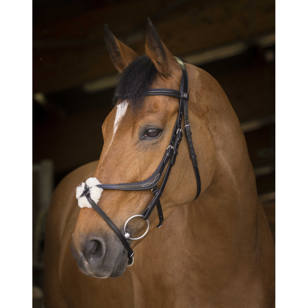 Bridon Muserolle Croisée RIDING WORLD - Cuir De Buffle Avec Rênes