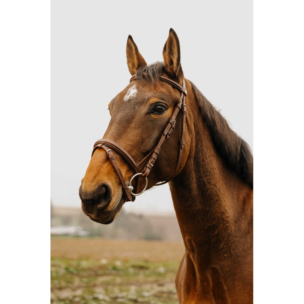 Hackamore Formay à Bandeau Caoutchouc Tubulaire - Acier Inoxydable - Cheval - Neuf