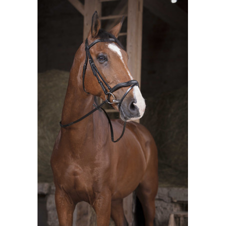 Rênes Norton Pro Supergrip