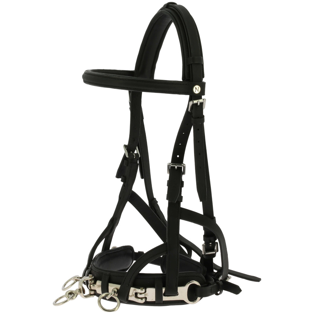 Longe Américaine Norton | Equipement du cheval