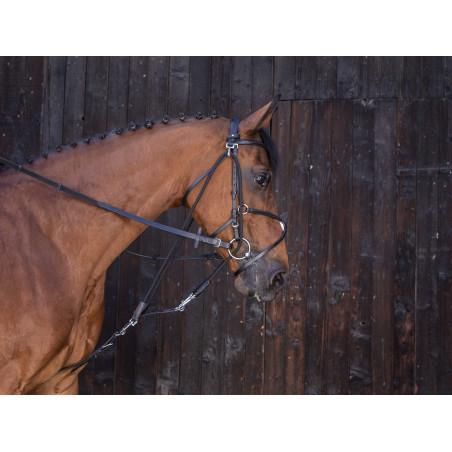 Gogue à poulies Riding World