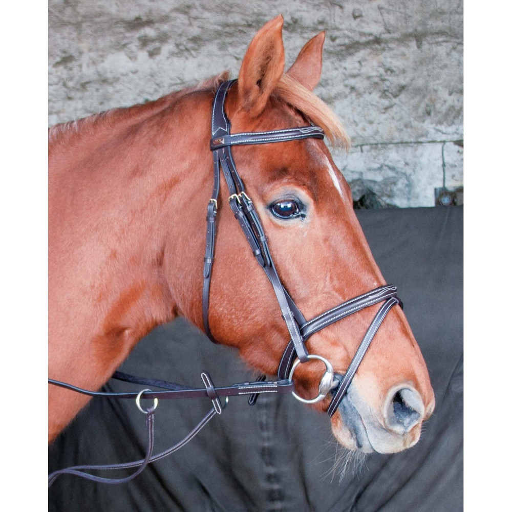 Licou Caldene Bridon Avec Coulisse Pull-back Pour Poney - Marron - Haute Qualité équestre