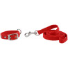 Collier et laisse pour chien Riding World Oscar - Rouge