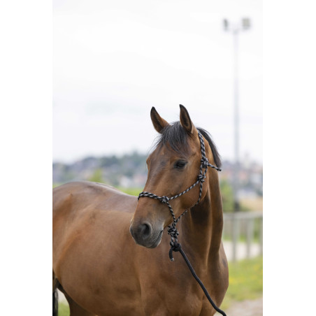 Licol éthologique Norton + longe Eco