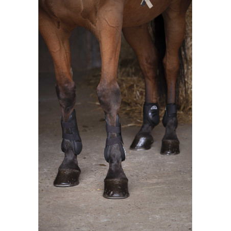 Protège-boulets Norton XTR