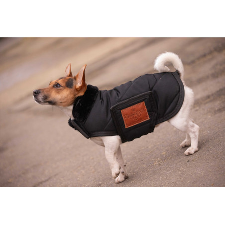 Couverture pour chien Diagonal Paddock Sports
