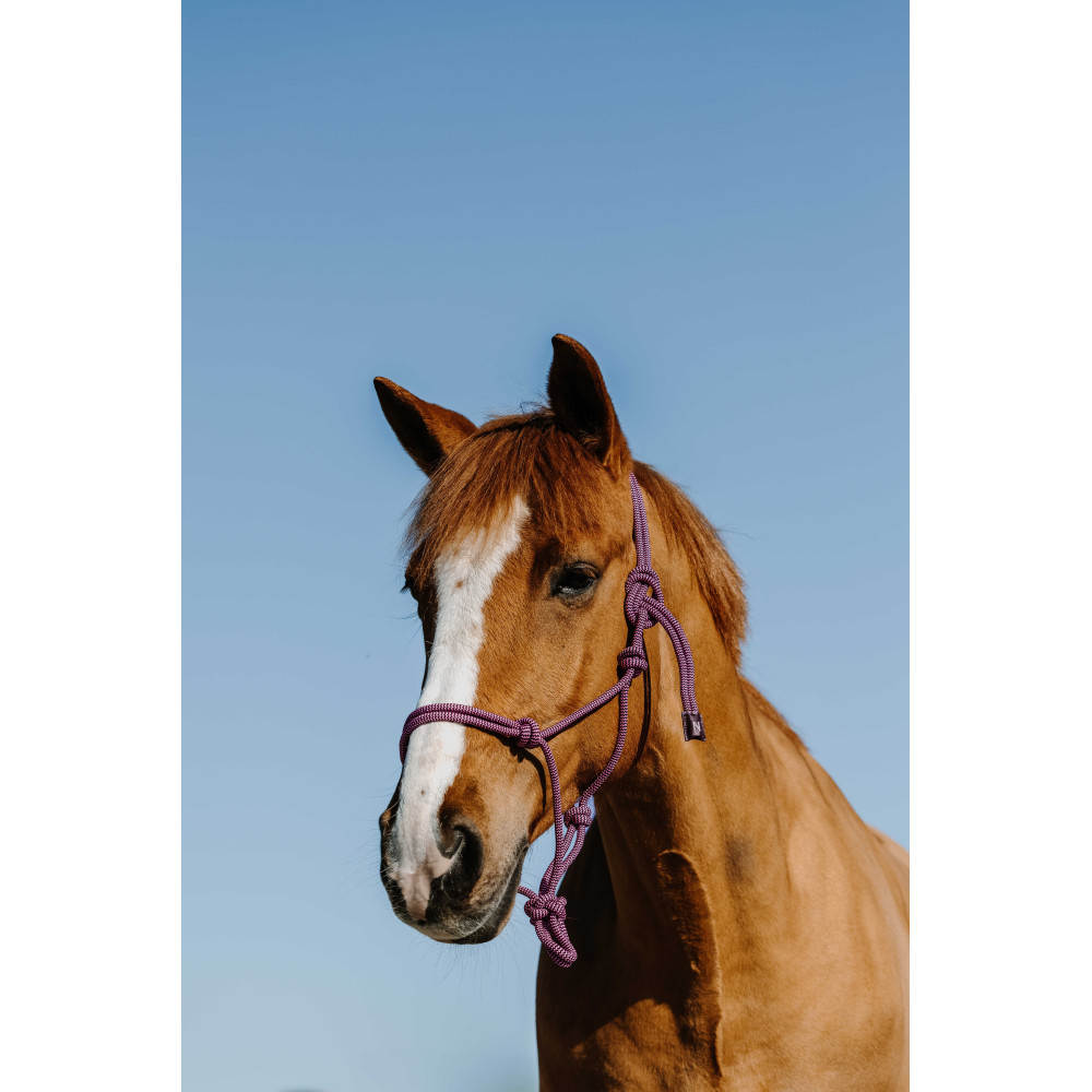 Bonnet Hobby Horse QHP | Accessoire pour Cheval Bâton Bonnet Hobby Horse QHP | Accessoire pour Cheval Bâton
