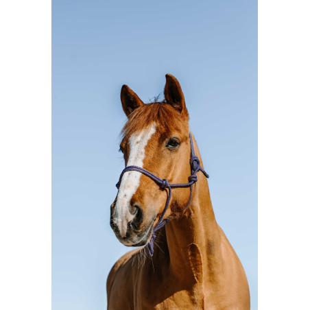 Licol éthologique Norton Glim