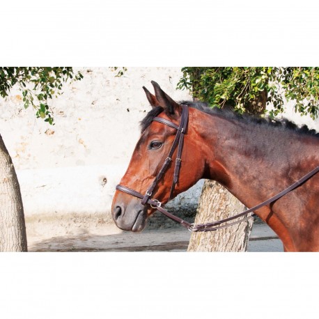 T De T Bitless Bridle