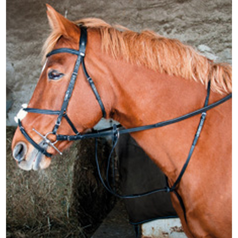 Martingale à anneaux Cheval - Schooling noire pour les clubs et collectivités | Decathlon Pro
