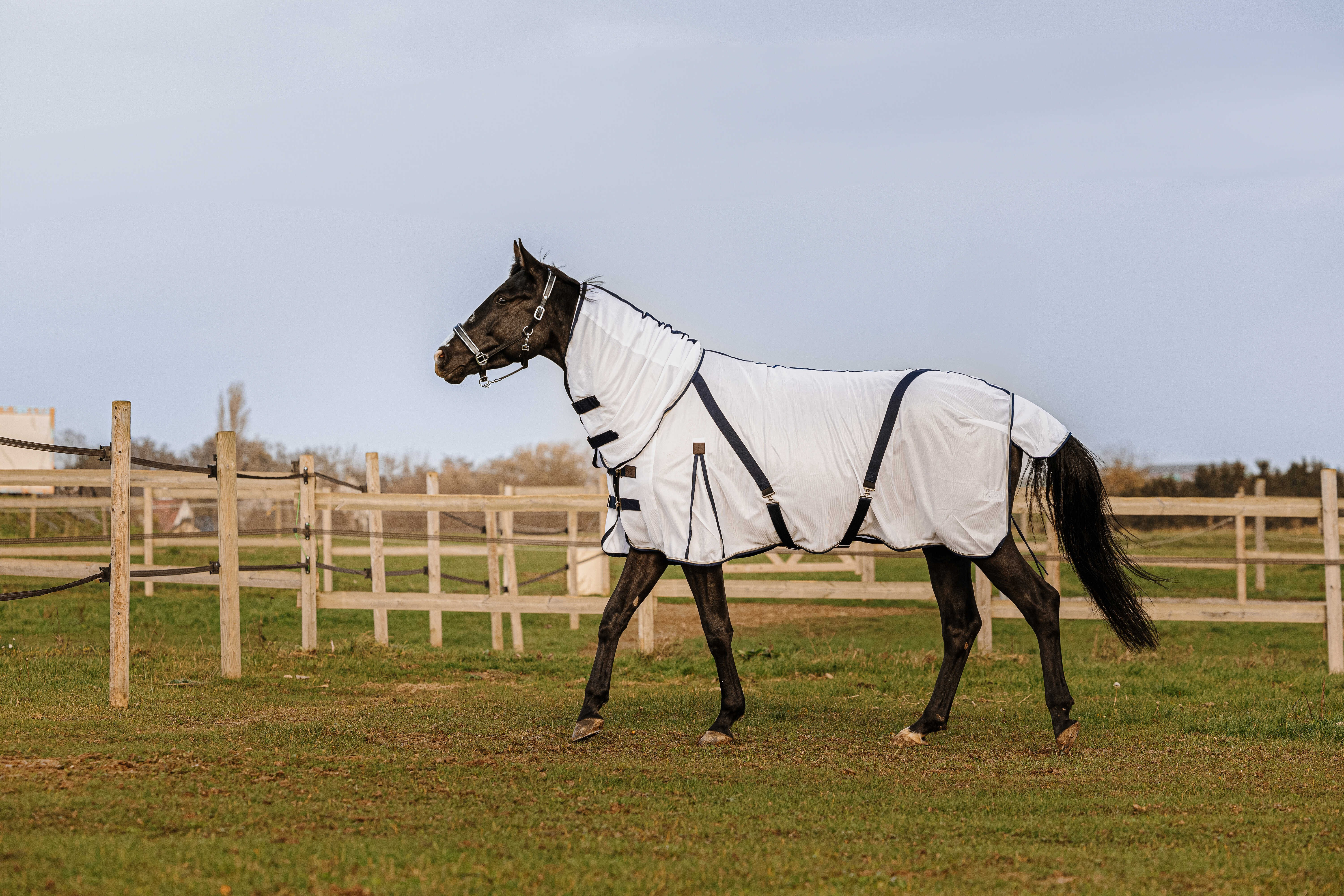 Chemise Equithème Mesh combo Blanc