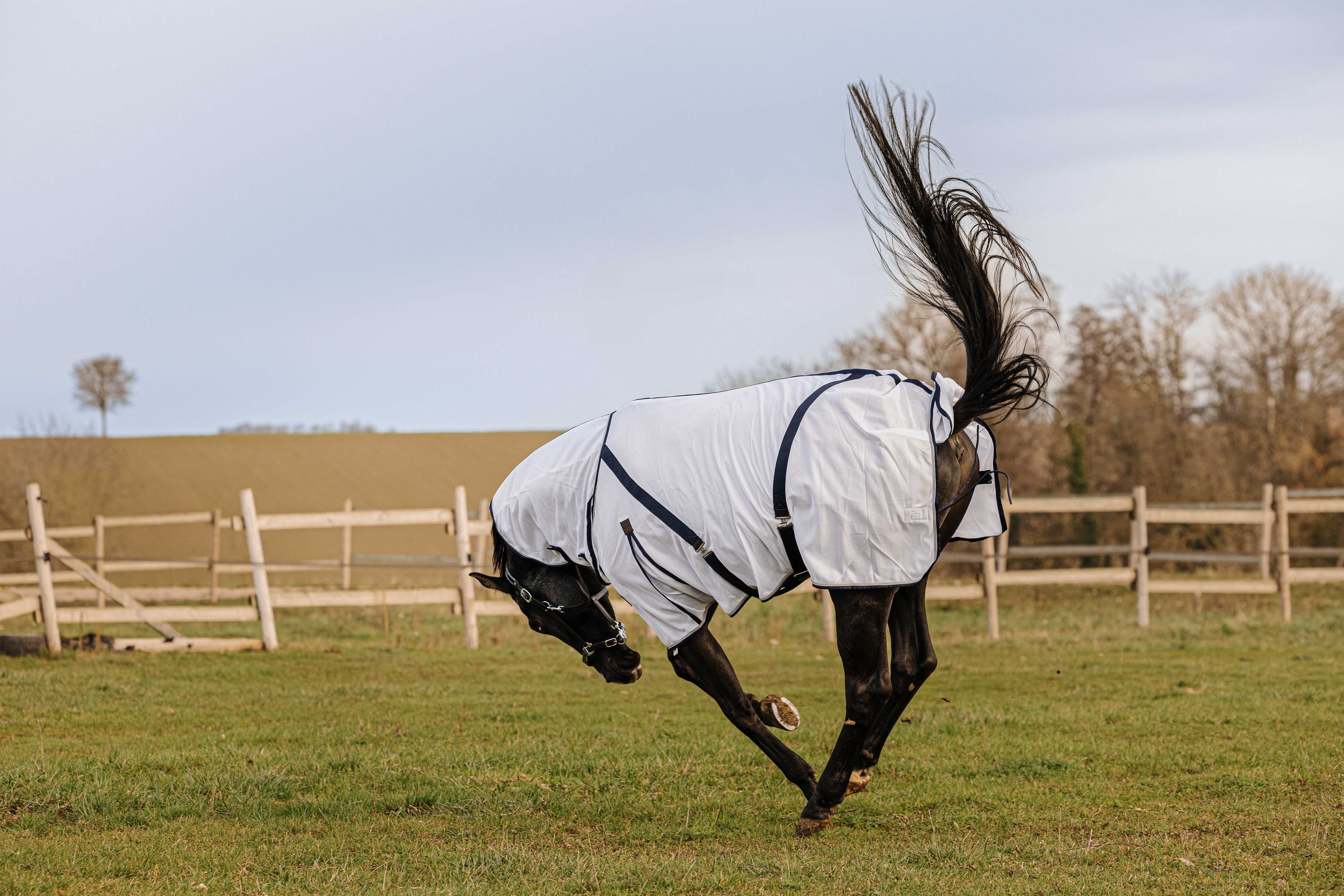 Chemise Equithème Mesh combo Blanc