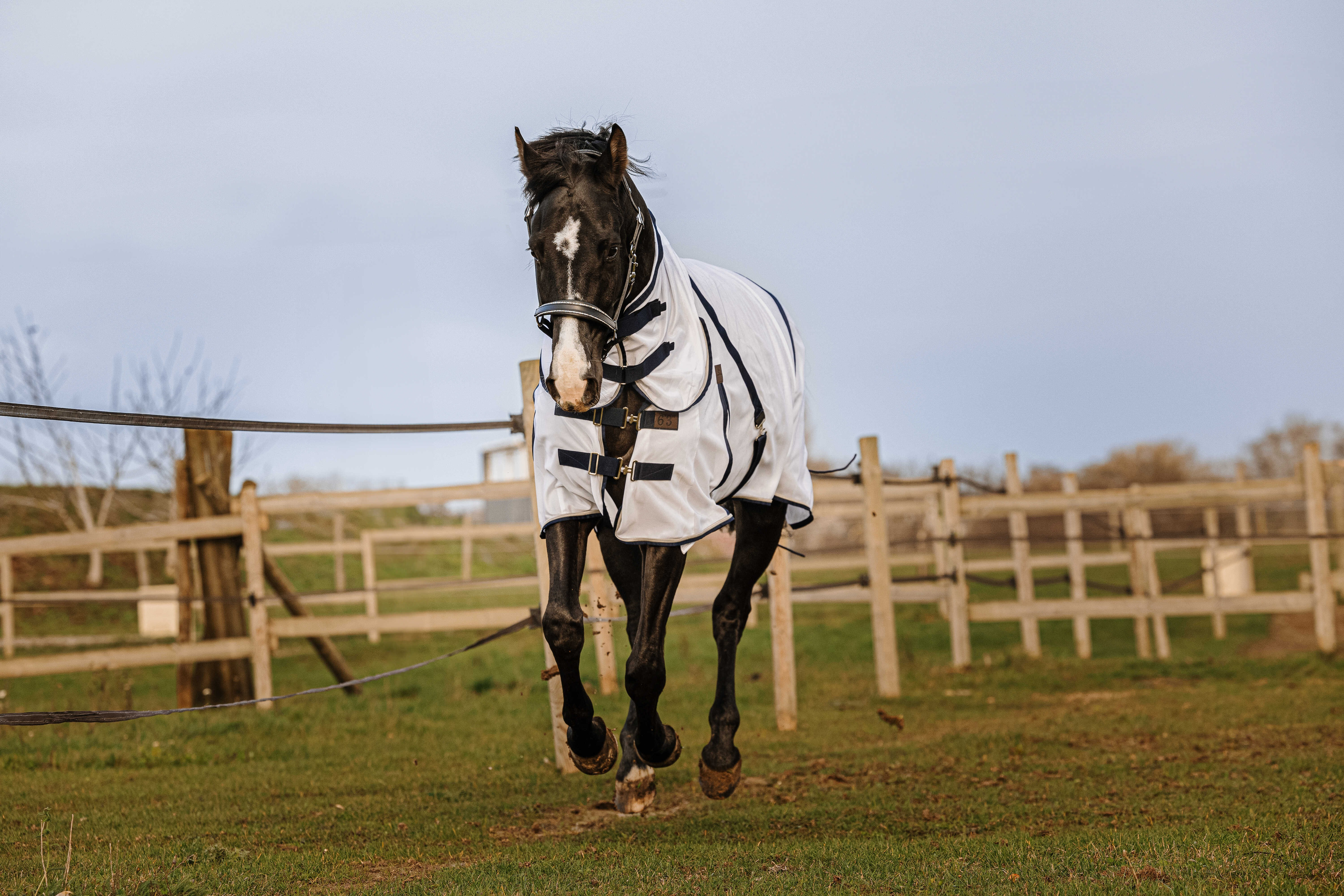 Chemise Equithème Mesh combo Blanc