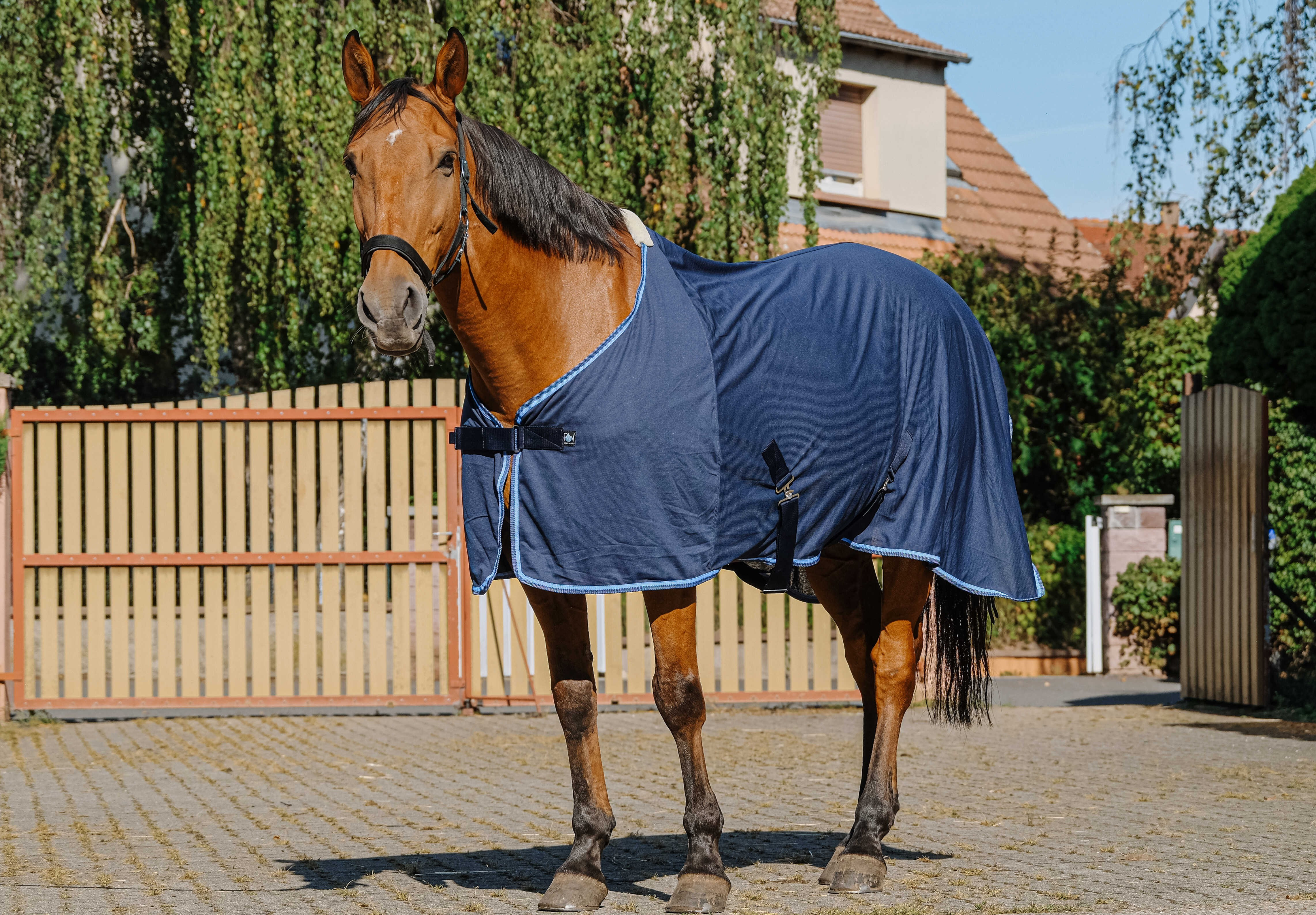 Chemise en maille fine Riding World Bleu marine