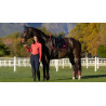 Tapis LeMieux Loire Classic Dressage Square - Marine / cranberry