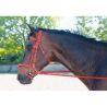 Bridon Biotack® T de T - Rouge