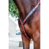 Collier de chasse Biotack T de T - Fuchsia