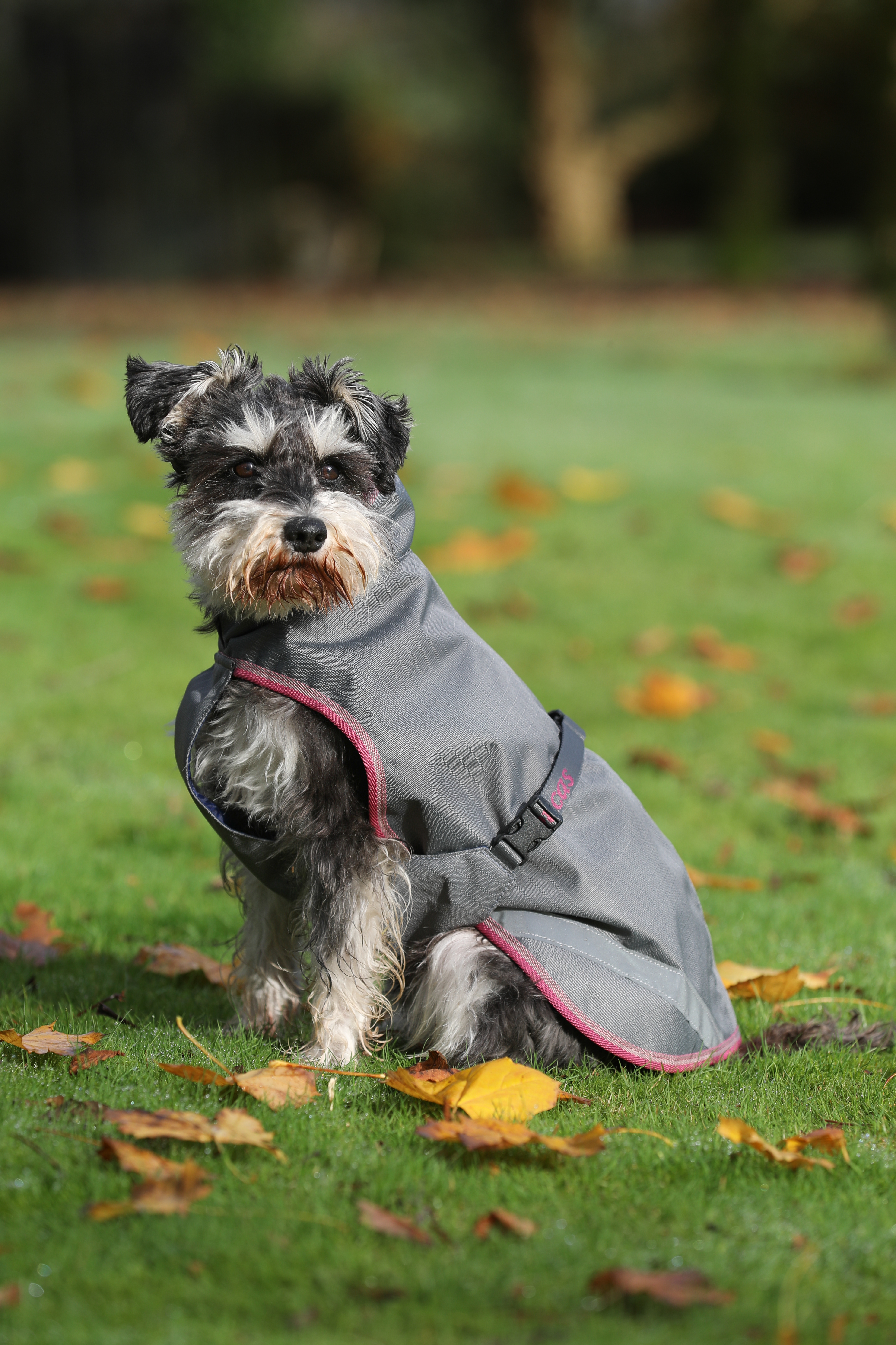 Couverture pour chien Bucas Freedom 300g Bleu marine