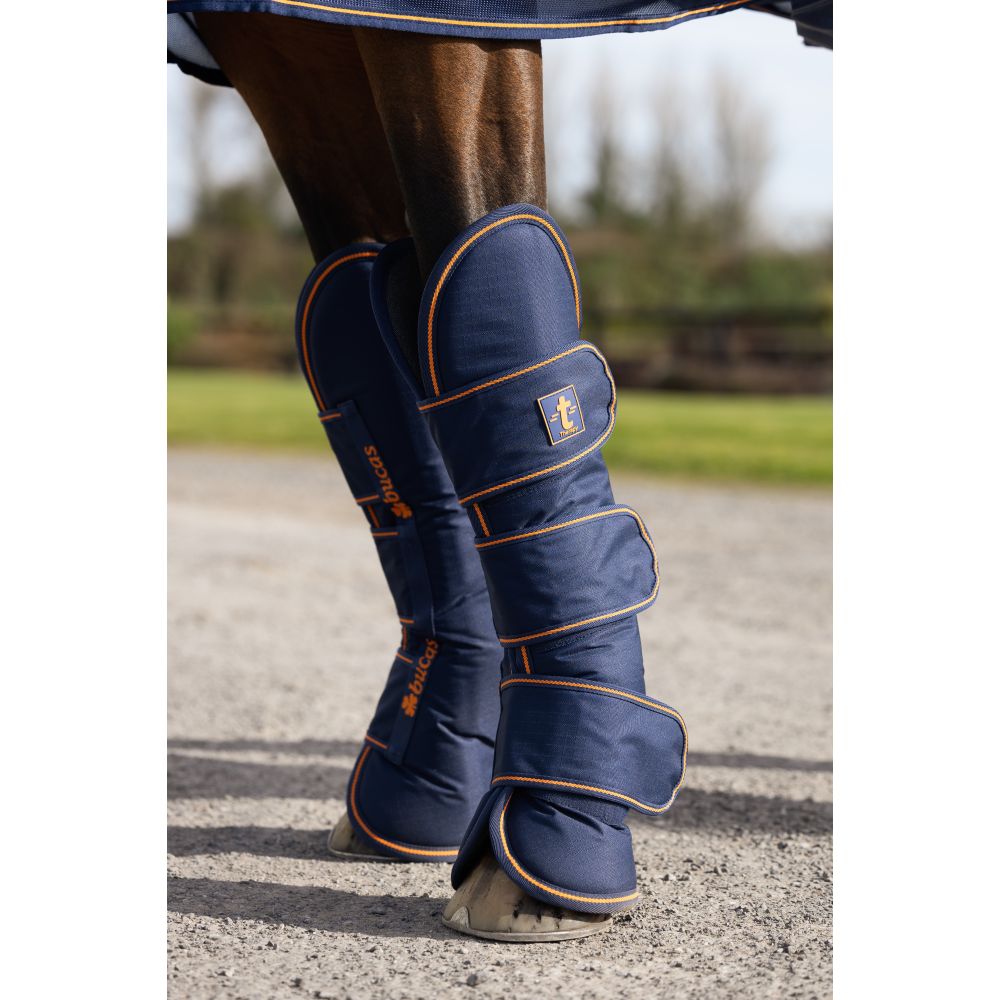 Guêtres d'équitation LeMieux Technical - 2e choix