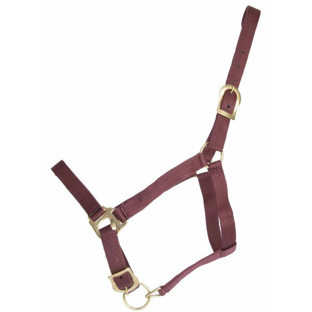 Halteres Hexagonales 40kg Horze Mors De Filet à Canon Double Brisure Halteres Hexagonales 40kg Horze Mors De Filet à Canon Double Brisure