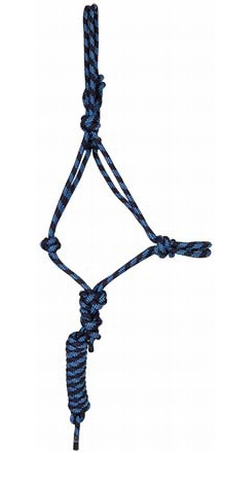 Licol éthologique + longe T de T Marine / bleu ciel