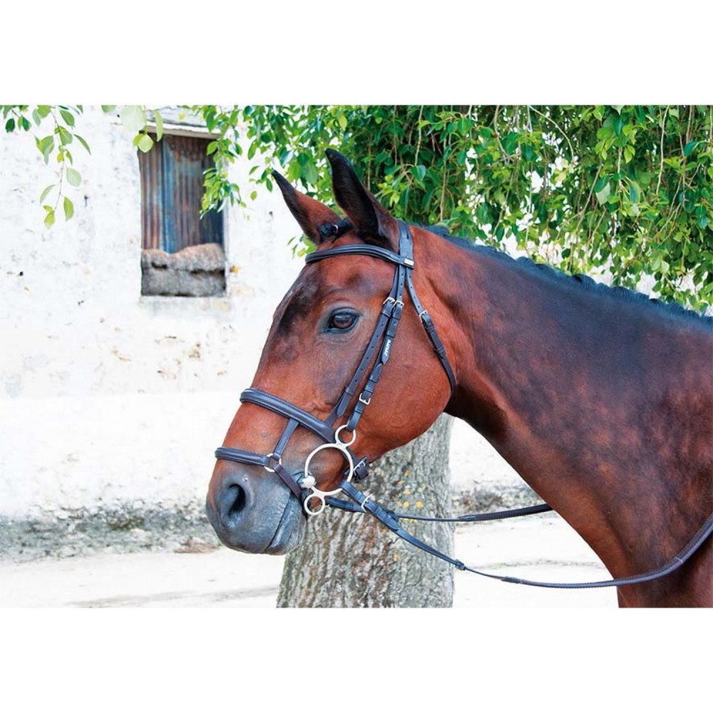 Bride D'équitation Dressage CHRB-3004 - Cuir - Taille Cob - Fabriqué Au Pakistan