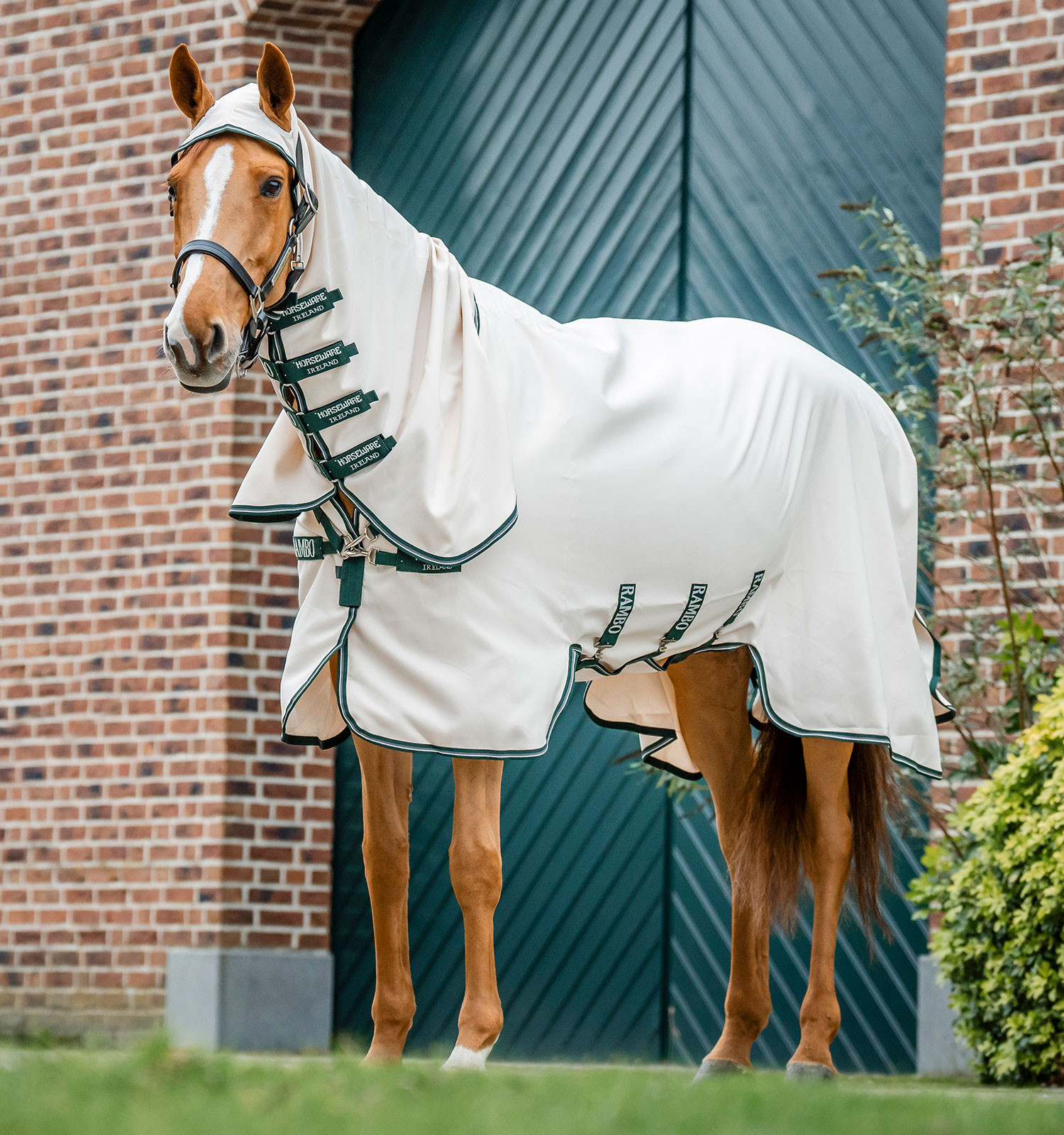Couverture intégrale Horseware Rambo Hoody 0g Vert / sauge