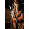 Collier de chasse Biotack T de T - Vert foncé