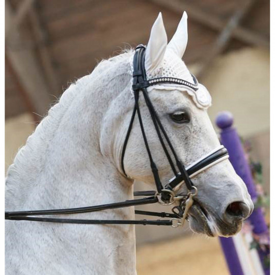 Têtière De Bride Dy'on NEC Type Dressage | Accessoires De Briderie