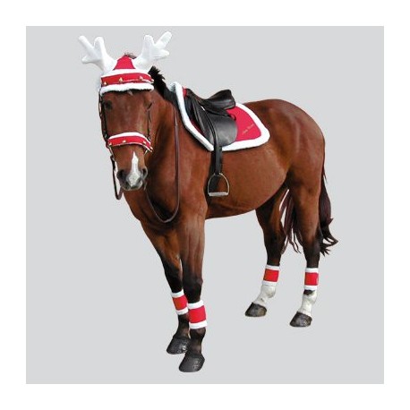 Noël Chabraque/Fly Veil/cheval de selle/Noël Horse Tack