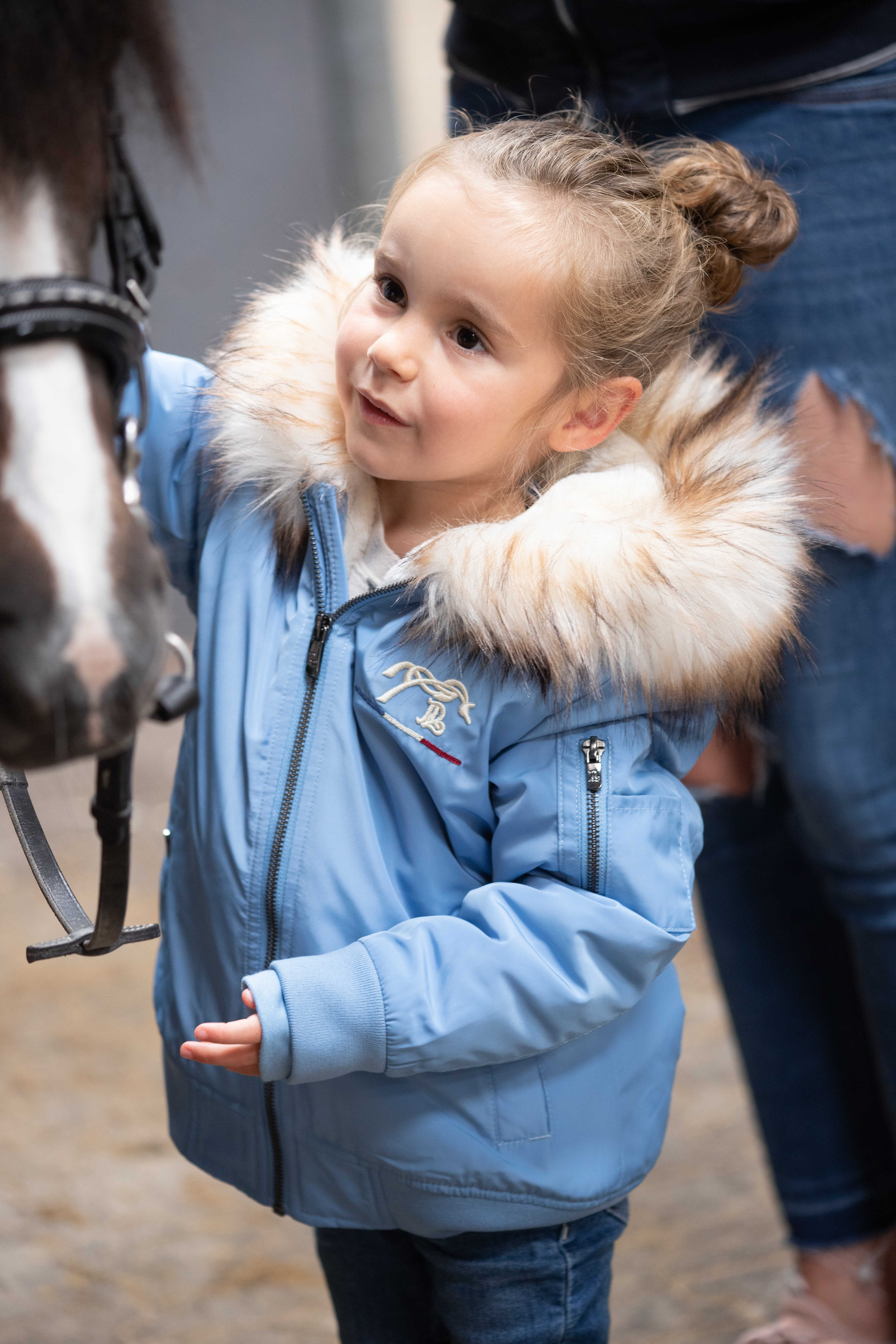 Bombers Eden by PL Lyon Bleu artic Bombers Eden by PL Lyon Bleu artic