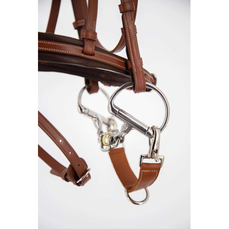 Alliance Pénélope Alliance