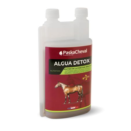 Algua Detox Paskacheval